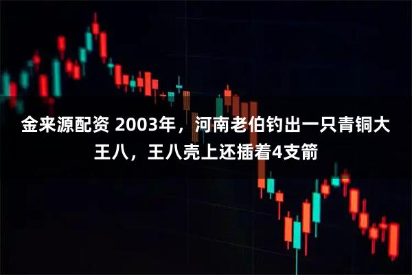 金来源配资 2003年，河南老伯钓出一只青铜大王八，王八壳上还插着4支箭
