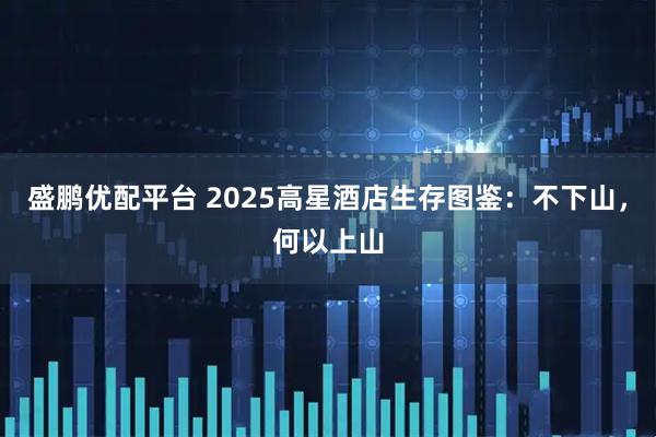 盛鹏优配平台 2025高星酒店生存图鉴：不下山，何以上山